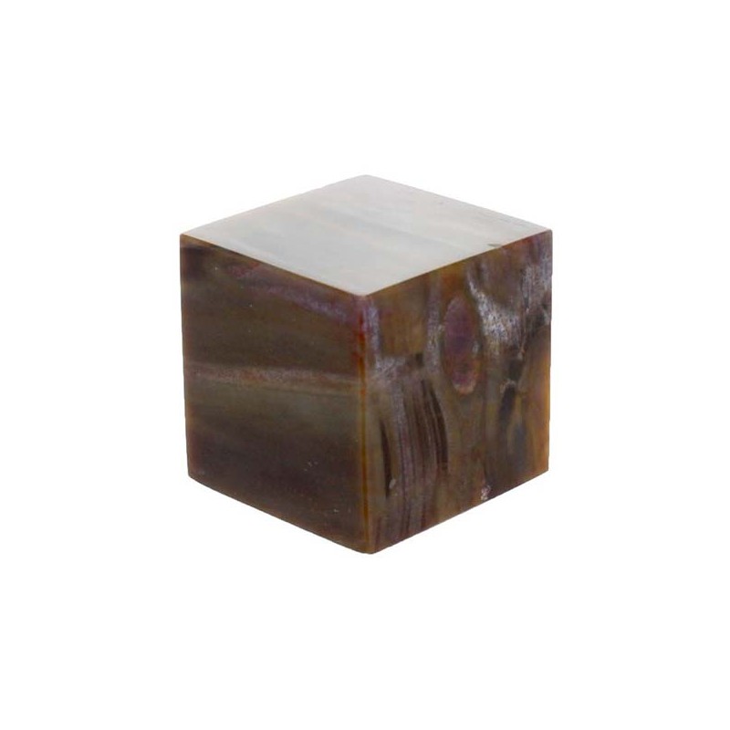 Cube Bois Fossile/Silicifié - 3,5 cm