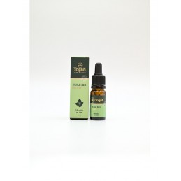 Huile CBD 20% Menthe