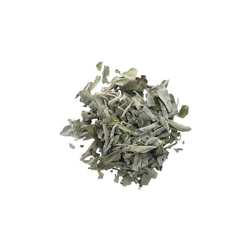 Sauge Blanche Green Tree Feuilles Sachet de 50 g